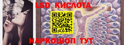 индика Лесосибирск