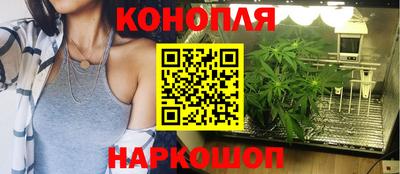 индика Лесосибирск