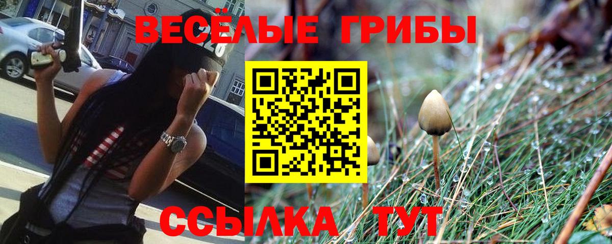 Галлюциногенные грибы MAGIC MUSHROOMS Гусиноозёрск